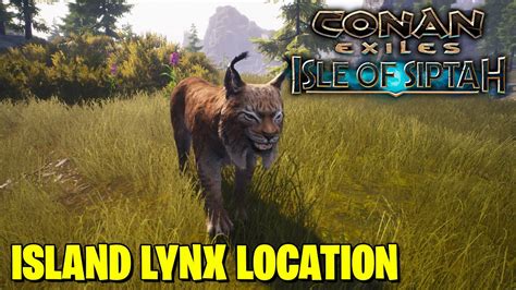 Lynx conan exiles - Oct 28, 2020 · In this video we show you Sabretooth Kitten Map Locations which we’ve found in the Conan Exiles: Isle of Siptah expansion. Follow our baby animal location gu... 